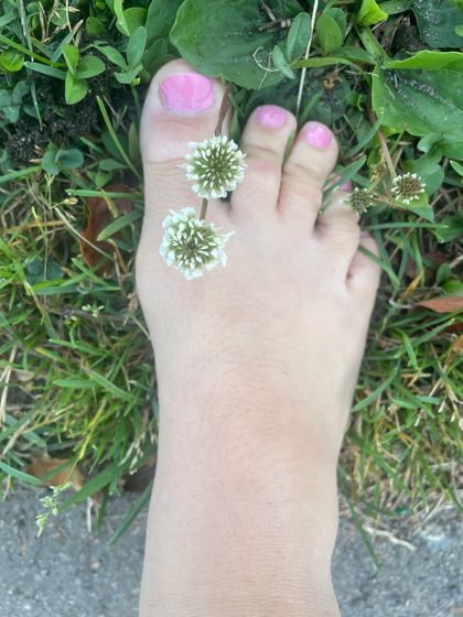 teasememia OnlyFans picture