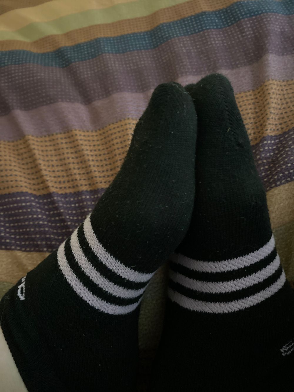jadeizagem OnlyFans profile picture