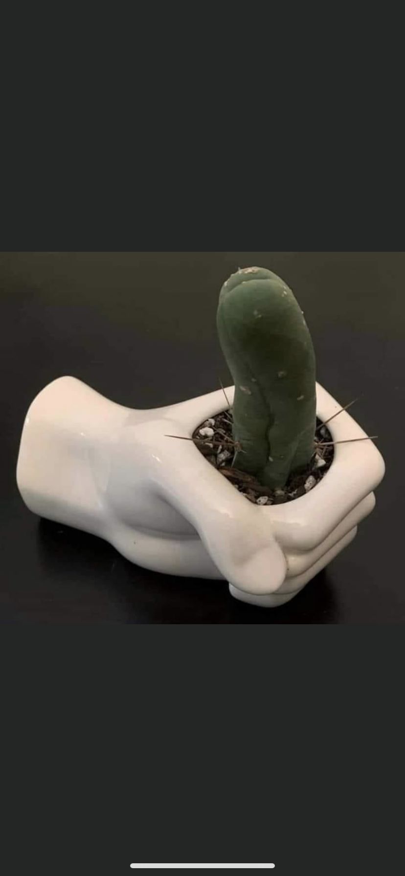 aphroditeluxe OnlyFans profile picture