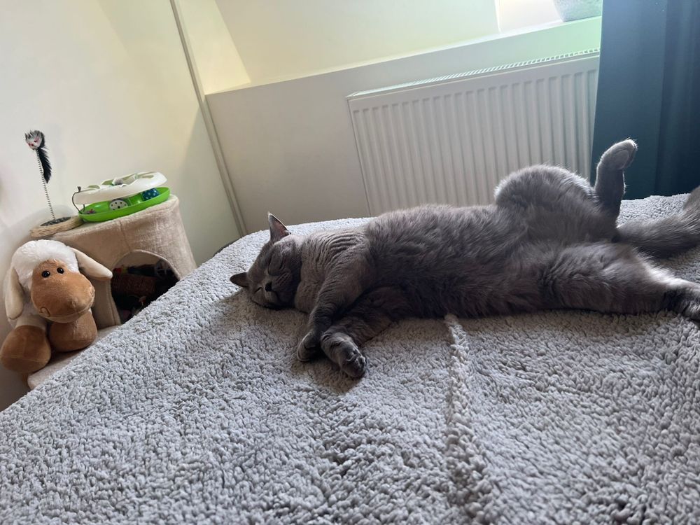 martinkingofcats OnlyFans profile picture
