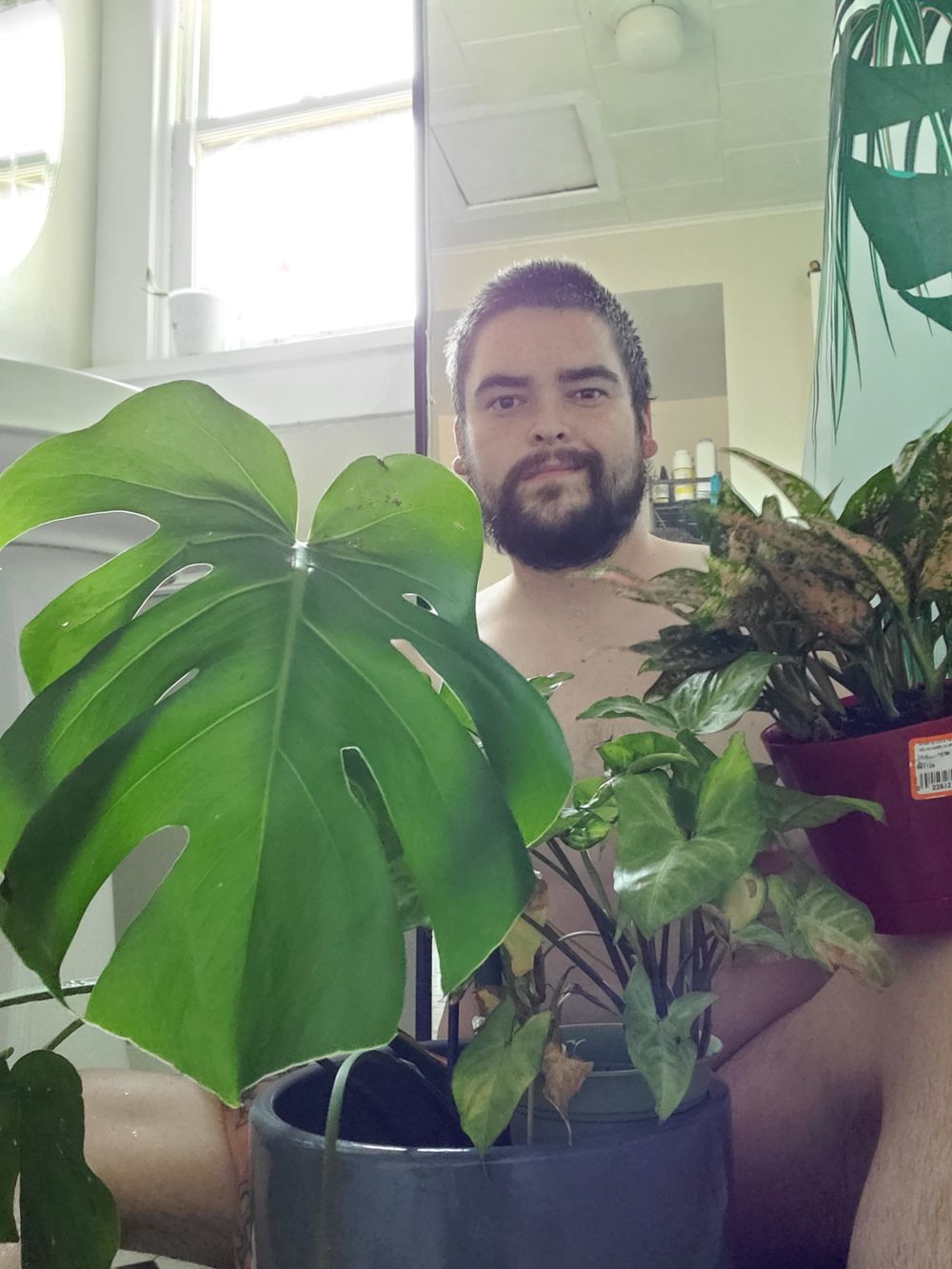 skinheadplantparent OnlyFans profile picture