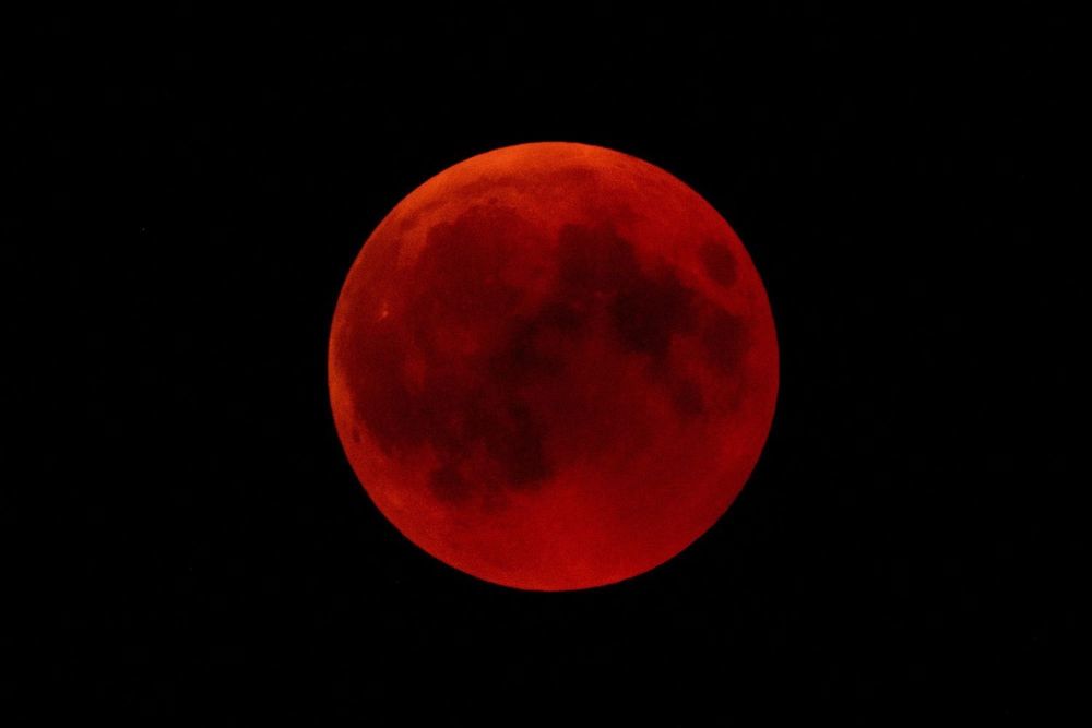vampirenight OnlyFans profile picture