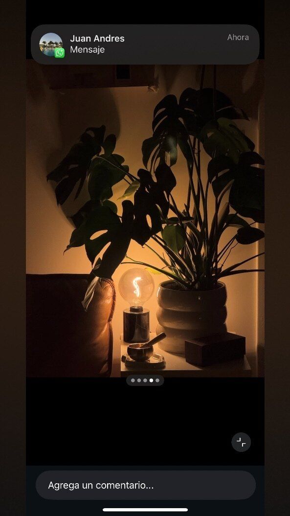 sscorpy888 OnlyFans profile picture