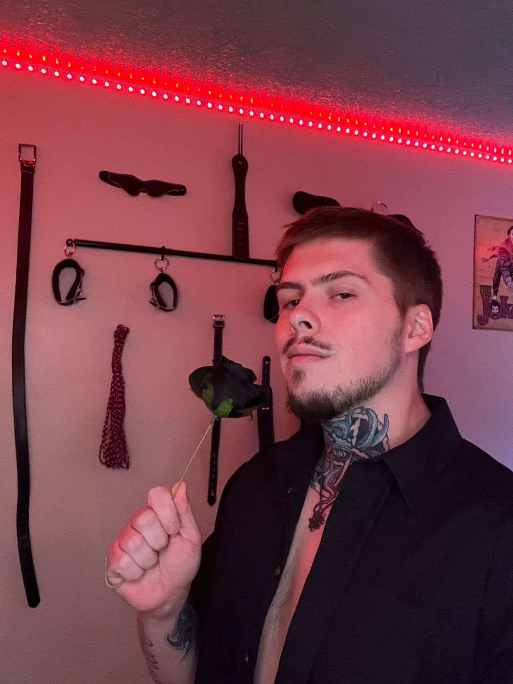 sirvoel OnlyFans profile picture