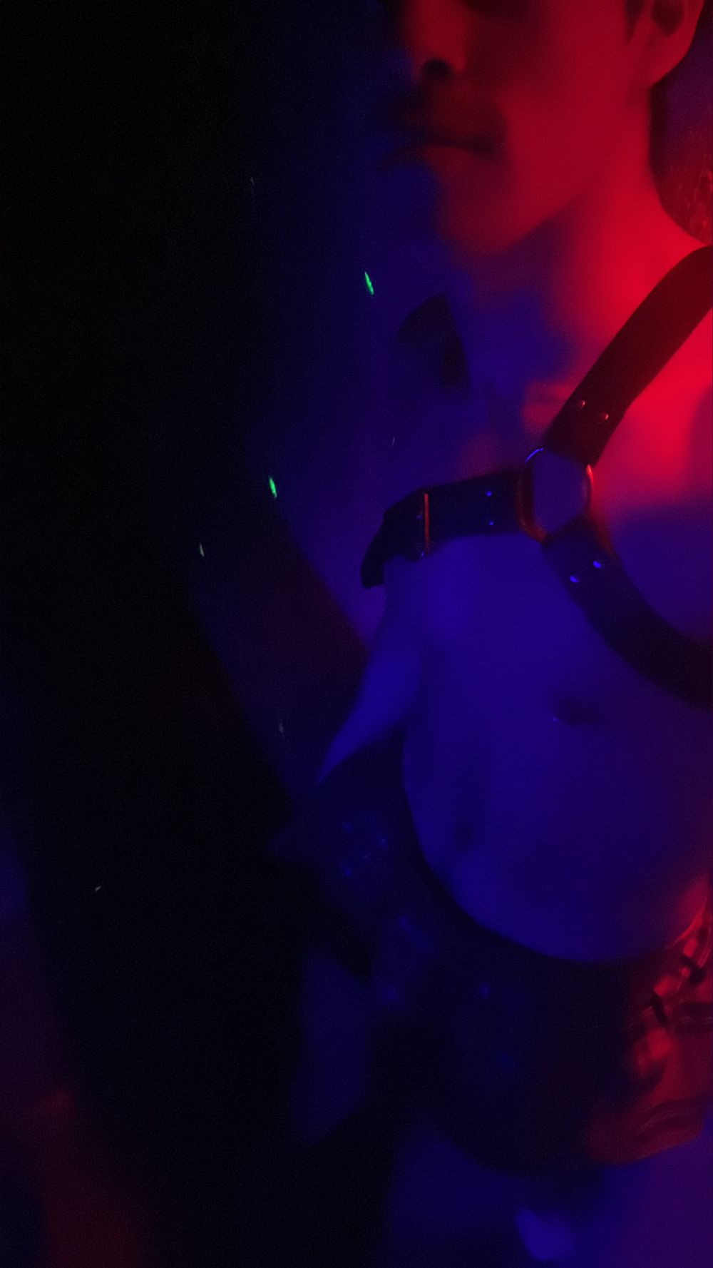 elbayron.brat OnlyFans profile picture