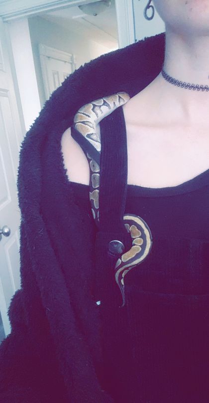 jupiter-love OnlyFans picture