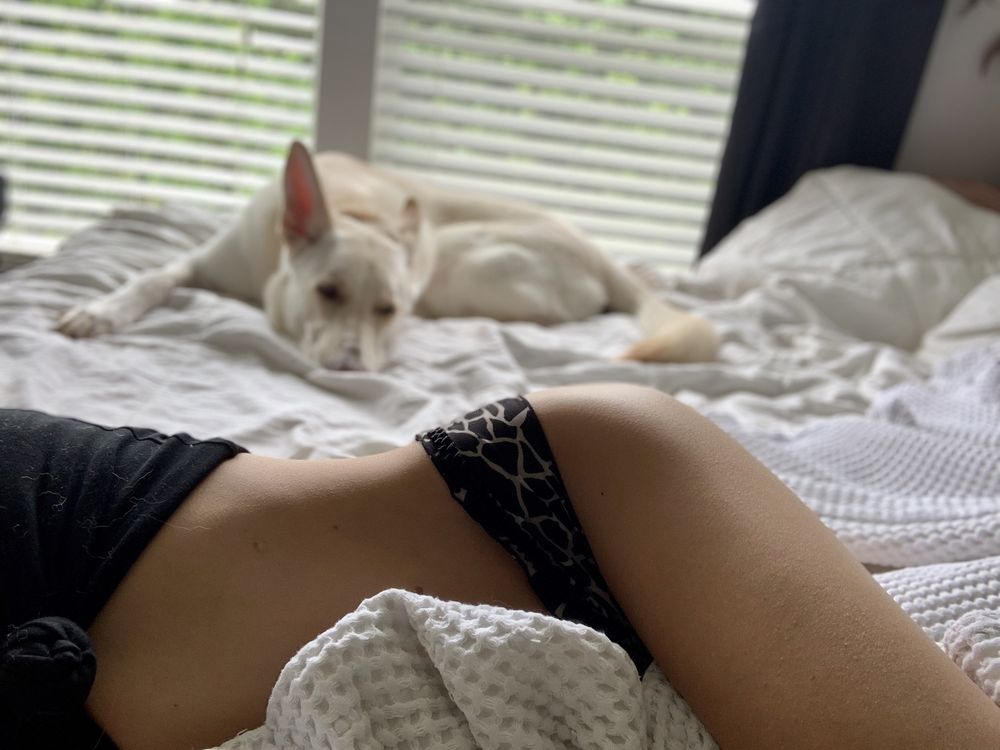 heavenshoney OnlyFans profile picture