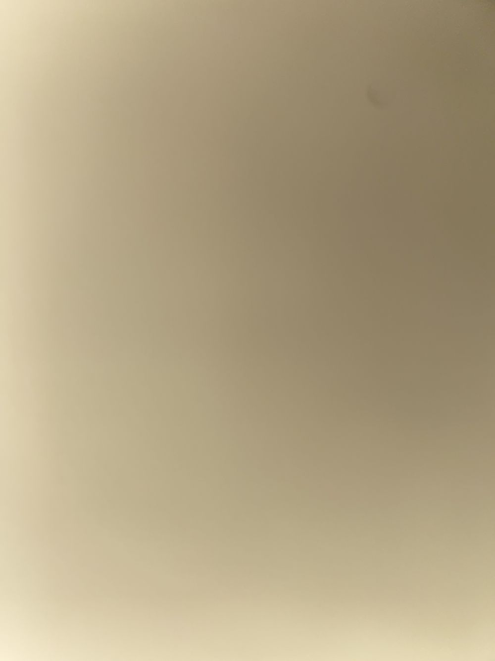 megan537 OnlyFans profile picture
