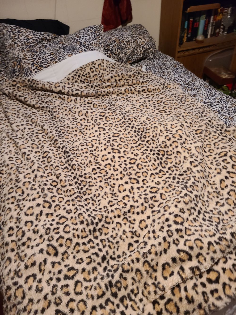wildcougar72 OnlyFans profile picture