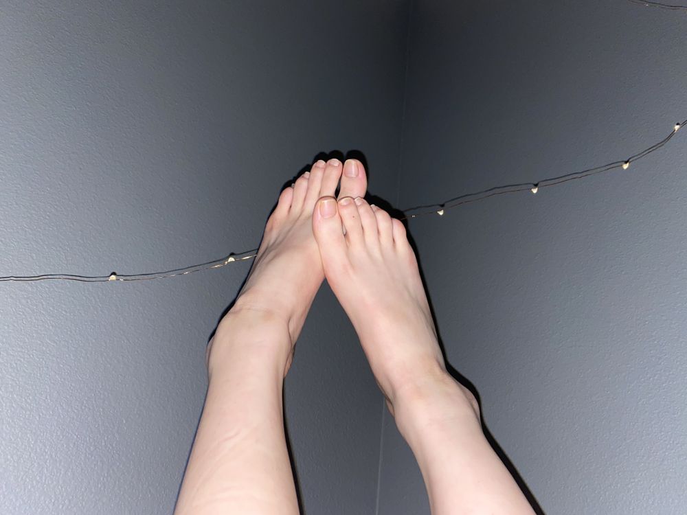 bunnybal OnlyFans profile picture