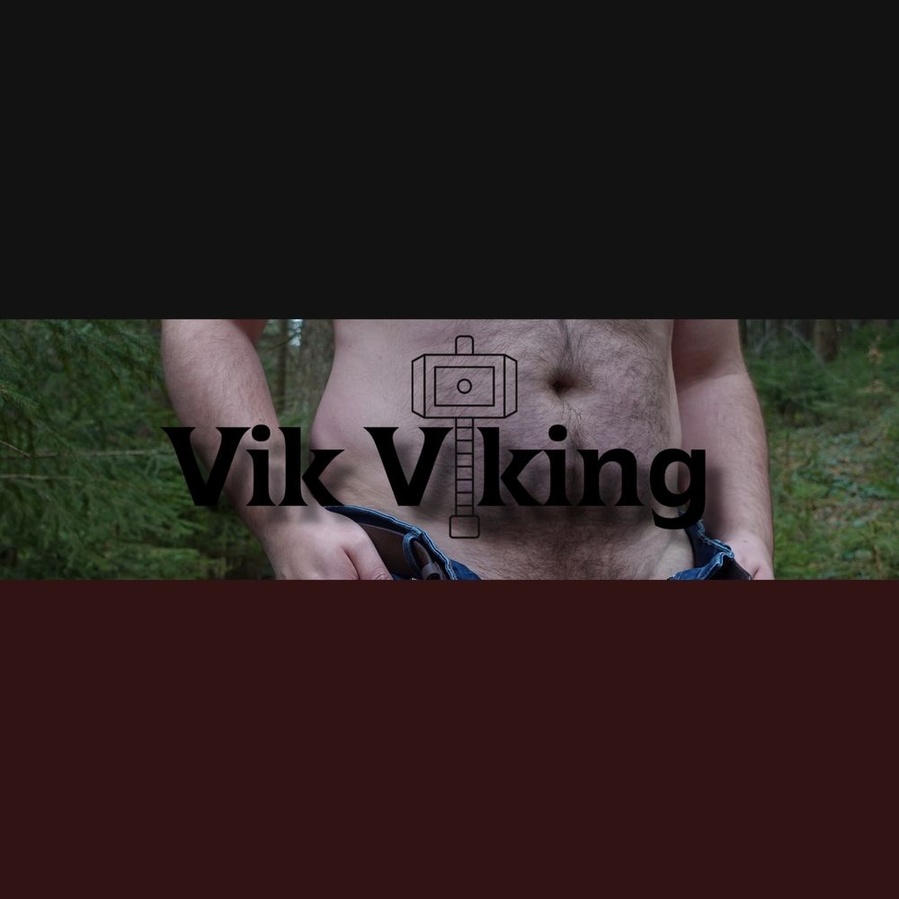 vikviking OnlyFans profile picture