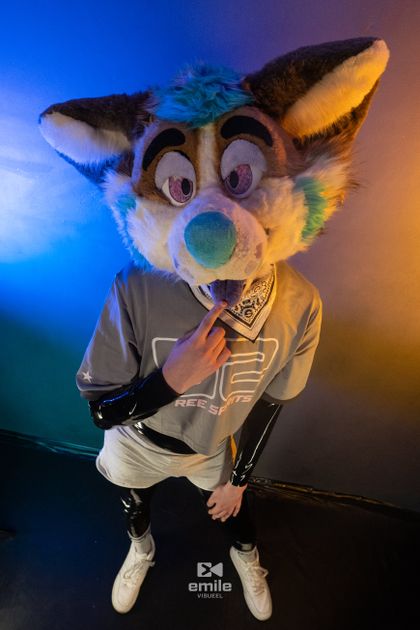 droolycorgi OnlyFans picture