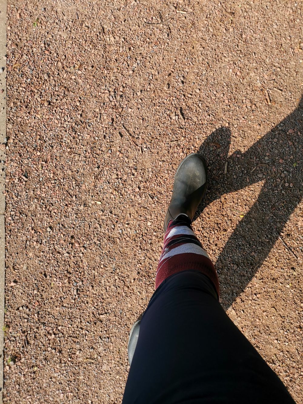 breechesandsox OnlyFans profile picture