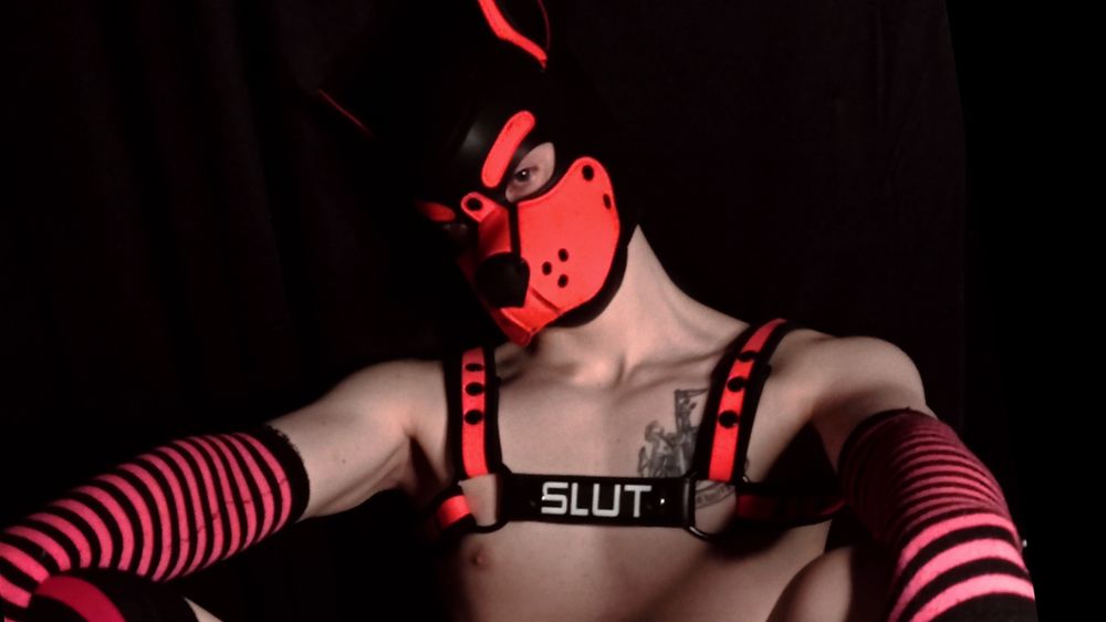 yeeniepuppy OnlyFans profile picture