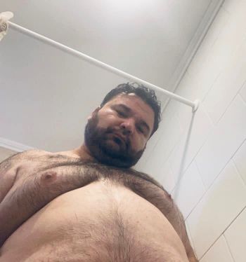 Osito tierno