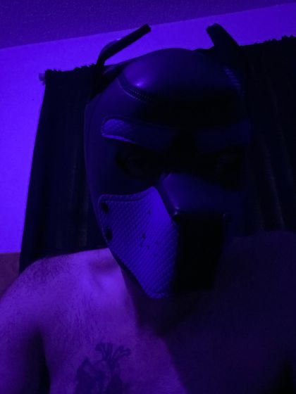 pupcapn OnlyFans picture