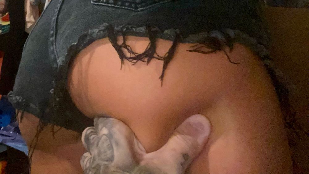 lucasnellyx OnlyFans profile picture
