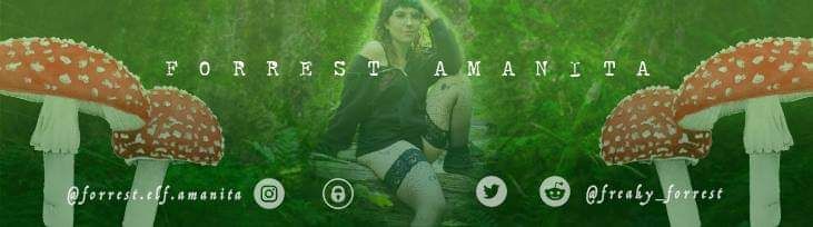 forrest.elf.amanita OnlyFans profile picture