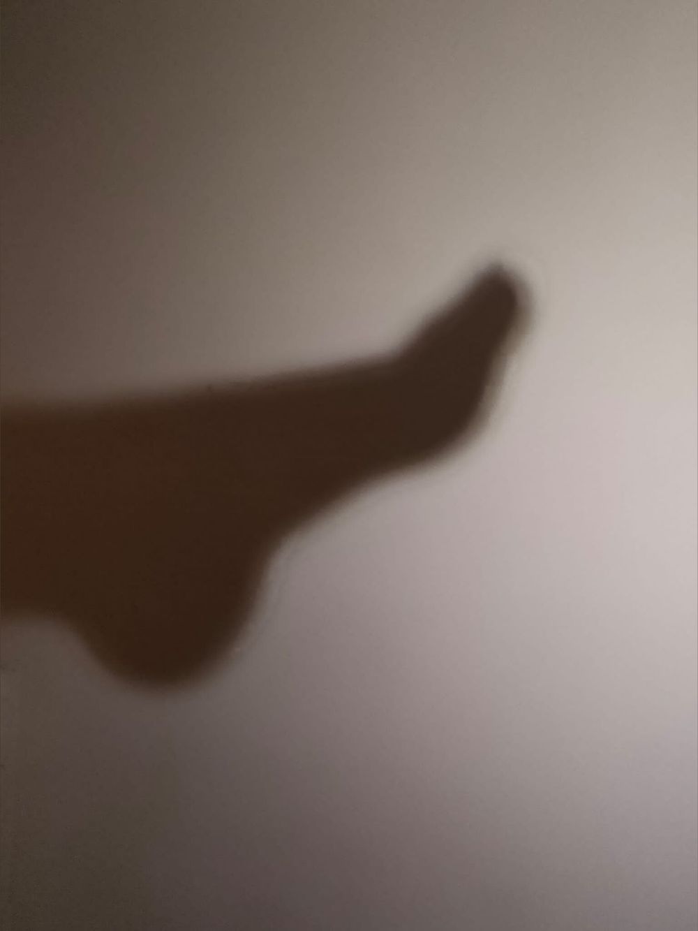 fourfeetprincess OnlyFans profile picture