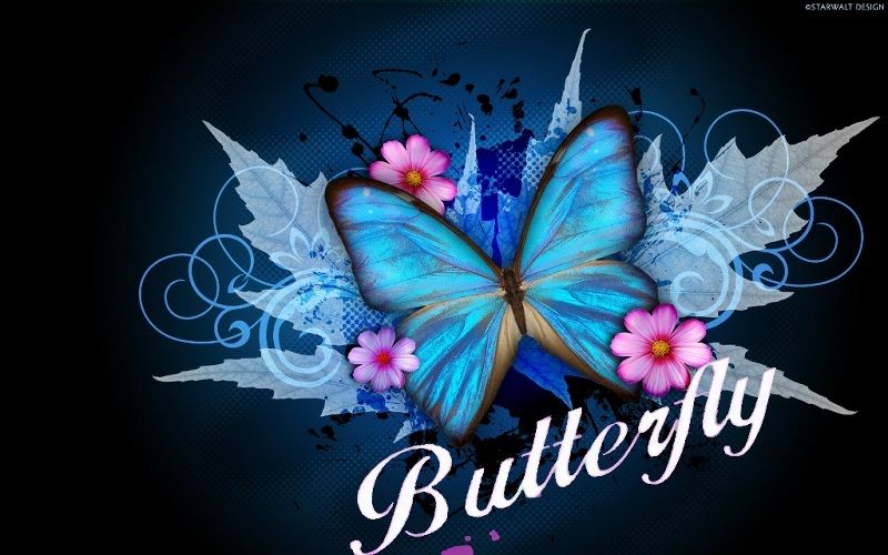 sexybutterfly16 OnlyFans profile picture