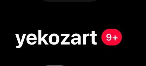 yekozart OnlyFans profile picture