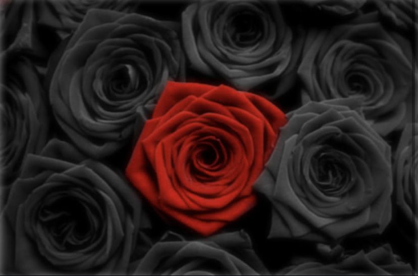 skylove22 OnlyFans profile picture