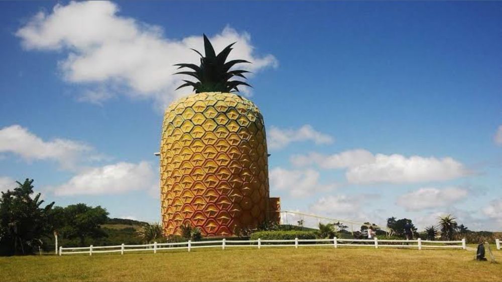 pineapple.boy69 OnlyFans profile picture