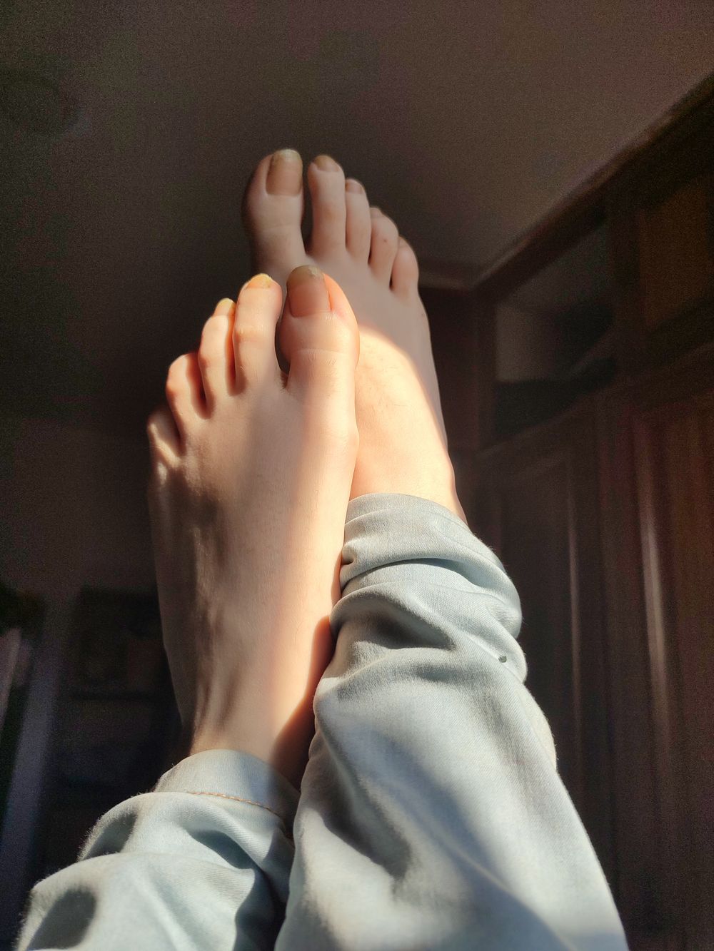 wolfilla OnlyFans profile picture