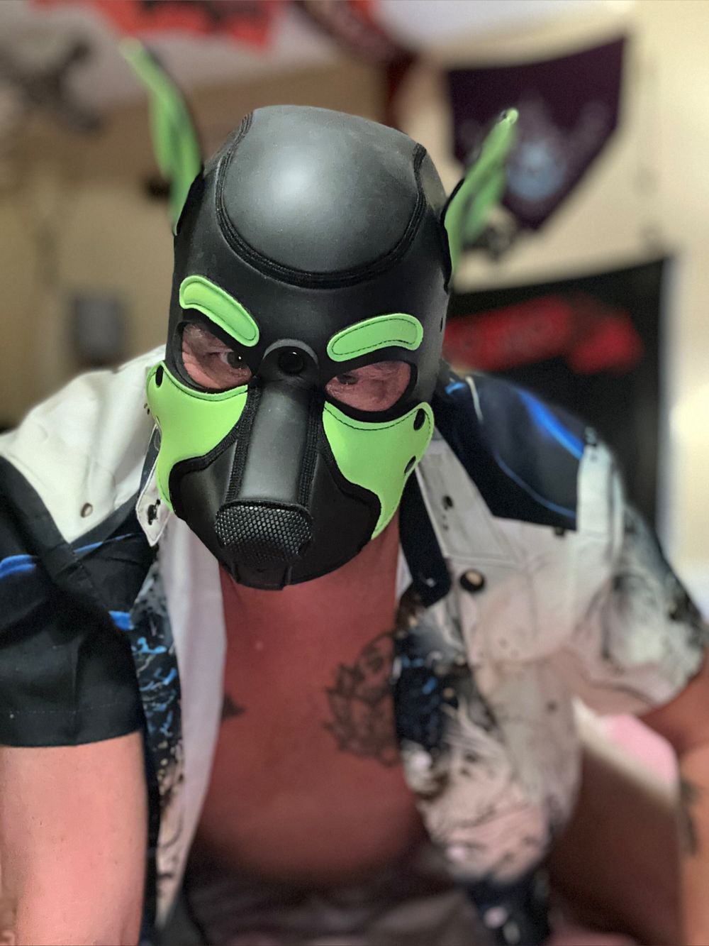 pupdraven OnlyFans profile picture