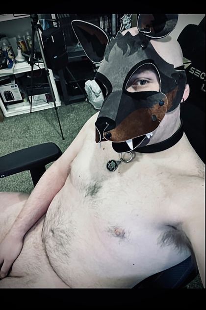 theenbypup OnlyFans picture