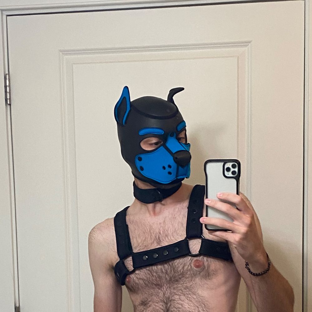puppatch333 OnlyFans profile picture
