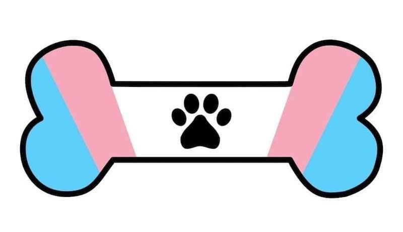 ftmpuppyboy OnlyFans profile picture