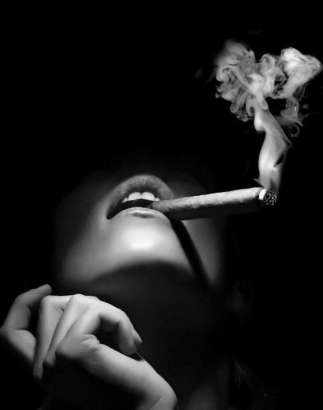 u193276572 OnlyFans profile picture