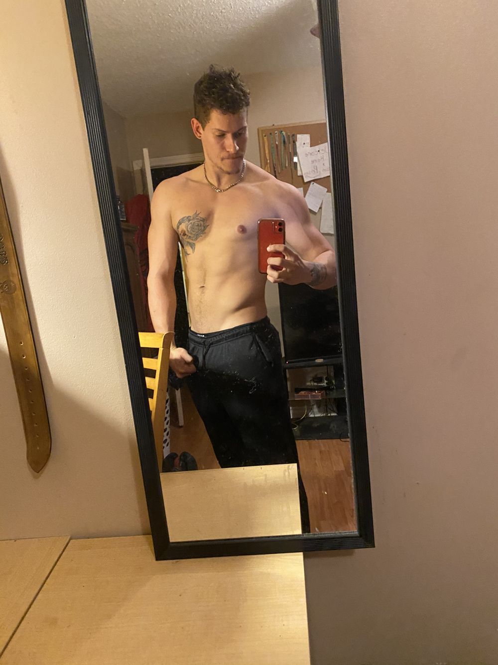 bachelorsick OnlyFans profile picture
