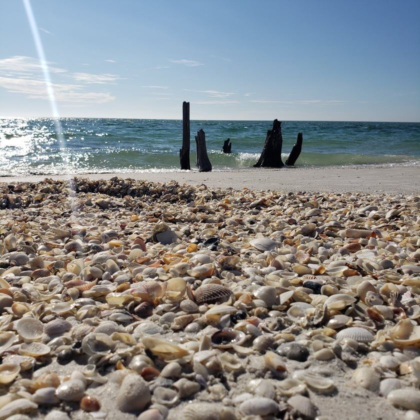 beachbumlifee OnlyFans profile picture
