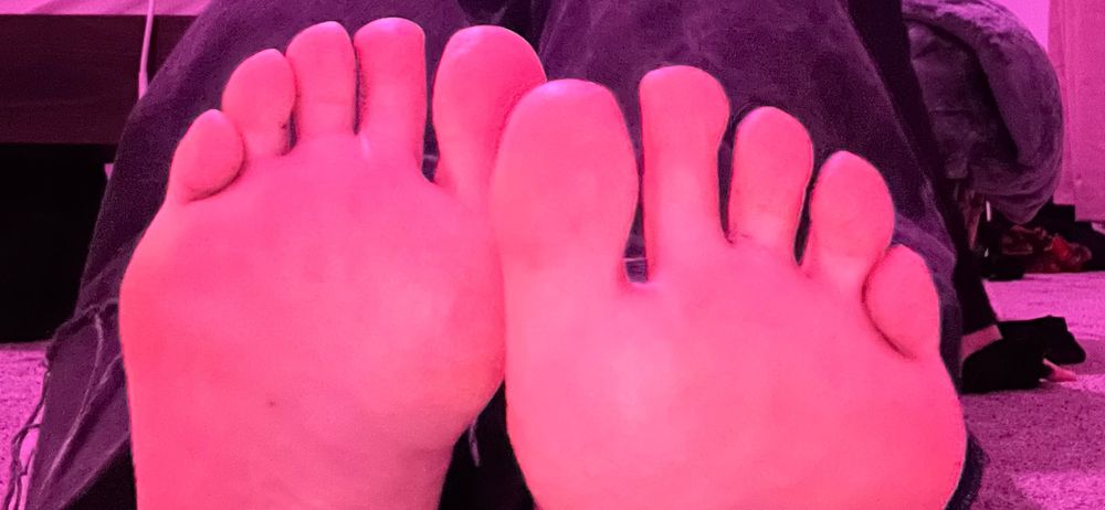 abbeylouises OnlyFans profile picture