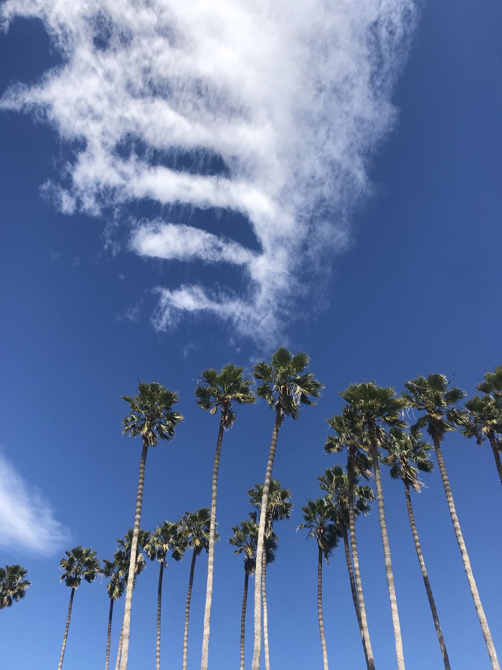 sunnygirlcloud1 OnlyFans profile picture