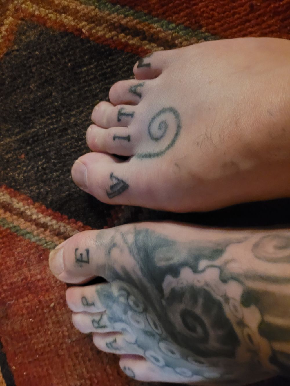 unstarvinartist OnlyFans profile picture