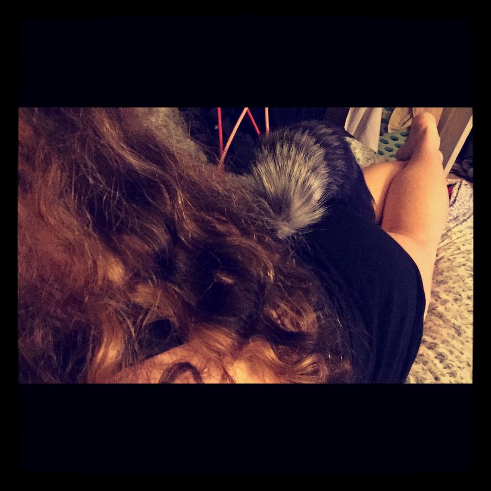 princessmikachuu OnlyFans profile picture