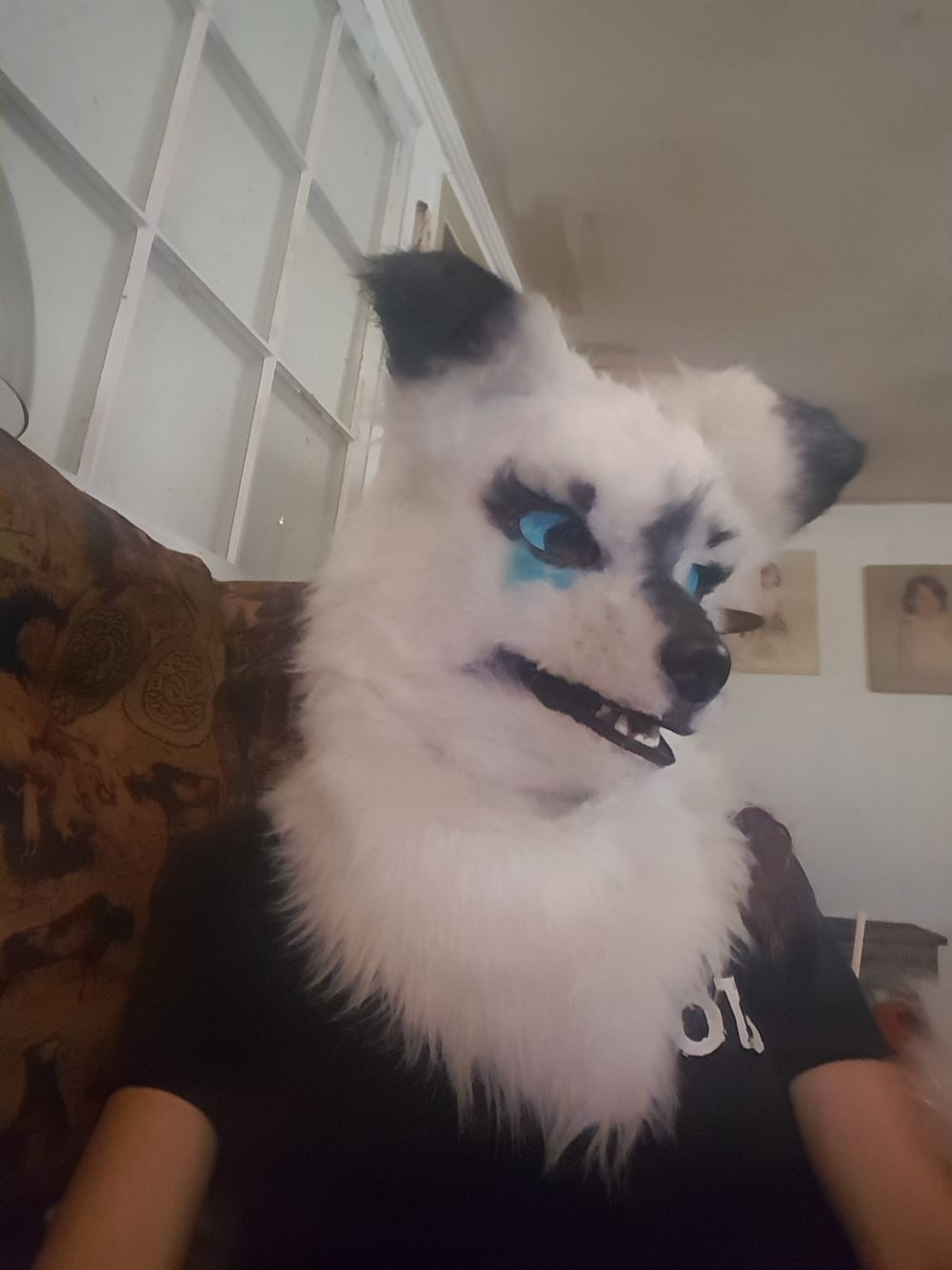 katiethwwolfy93 OnlyFans profile picture