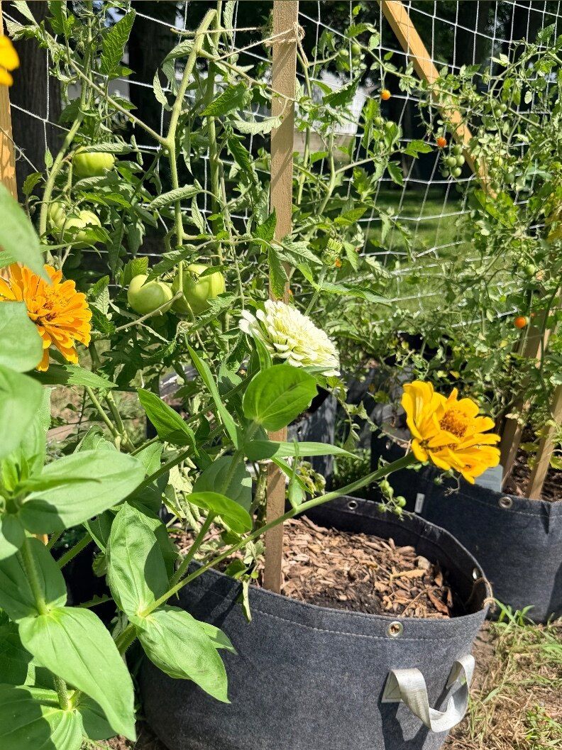 akiraspeachgarden OnlyFans profile picture