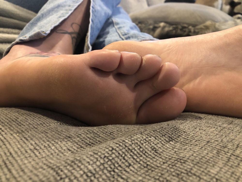 myshylittlesecret OnlyFans profile picture