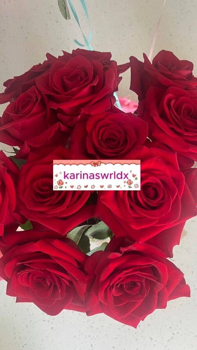karinaswrldx OnlyFans profile picture