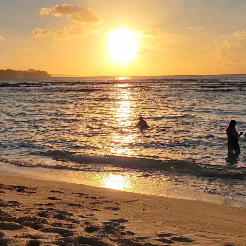 avalonadams OnlyFans - Stats, Graphs, Photos & Profile Comparisons