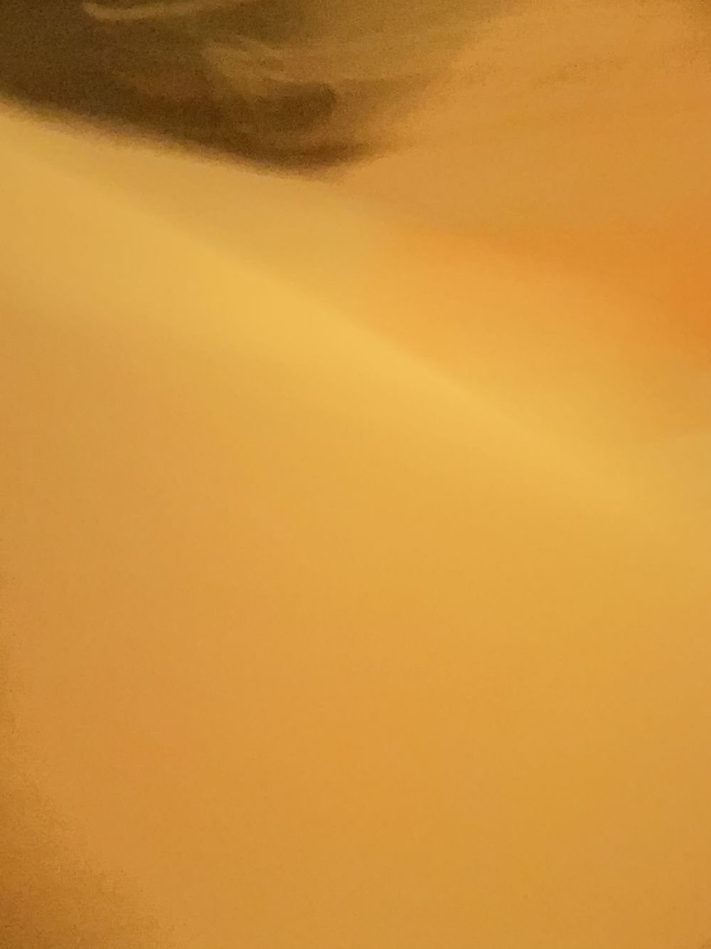 zoalexandra OnlyFans profile picture