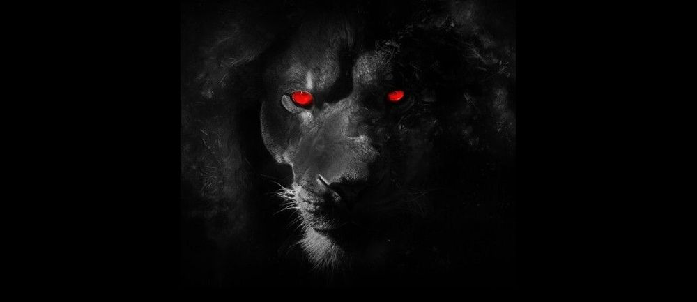 thereddice OnlyFans profile picture