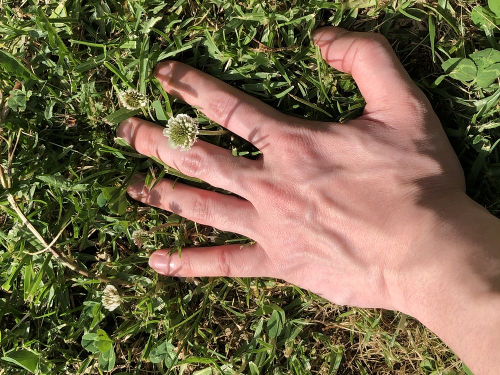 veiny.boi OnlyFans profile picture