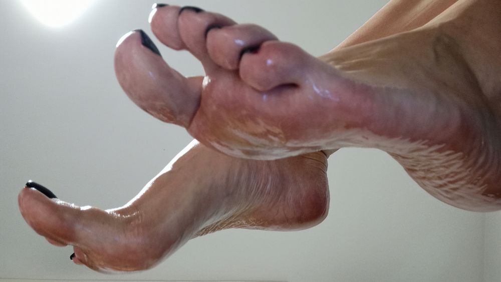 venerapaws OnlyFans profile picture