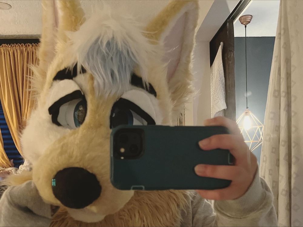 leashedboydog OnlyFans profile picture
