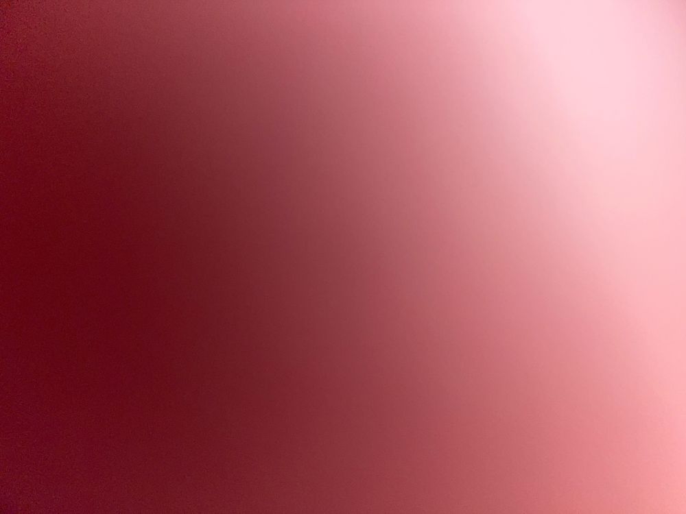 u55501969 OnlyFans profile picture